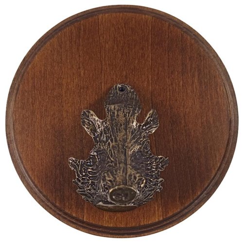 Podložka pod trofej č.314 - kaštan+prasečí hlava velká