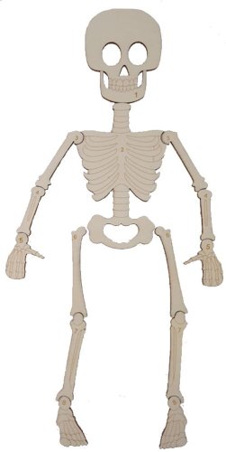 Člověk 2