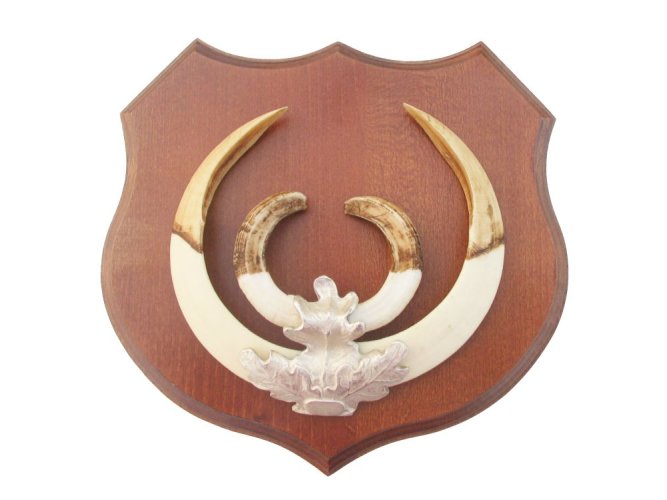 Podložka pod trofej č.364 - kaštan + stříbrné litinové krytí