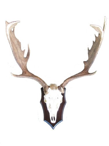 Podložka pod trofej č.348 - černá