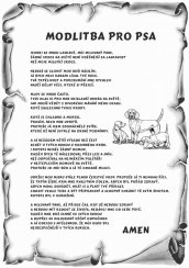 Modlitba pro psa č.784 pergamen z překližky