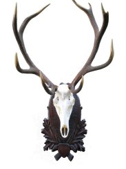 Podložka pod trofej č.210 - černá