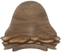 Podložka pod trofej č.456 - tónovaná