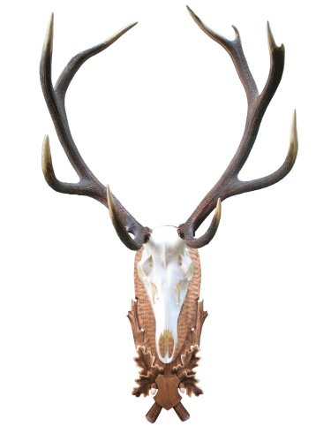 Podložka pod trofej č.208