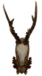 Podložka pod trofej č.109
