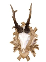 Podložka pod trofej č.142 - tónovaná