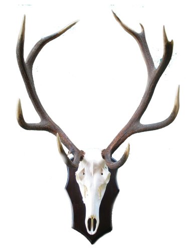 Podložka pod trofej č.349 - černá