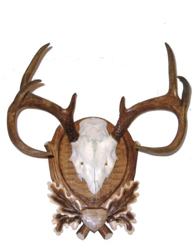 Podložka pod trofej č.202 - tónovaná