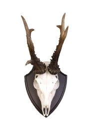 Podložka pod trofej č.308 - černá