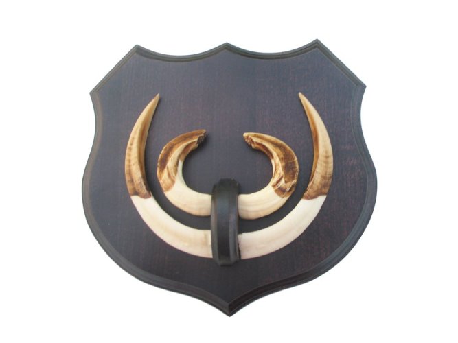 Podložka pod trofej č.363 - černá + dřevěný nos