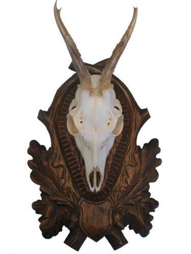 Podložka pod trofej č.147 hluboká řezba hnědá