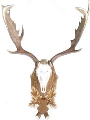 Podložka pod trofej č.207 - tónovaná