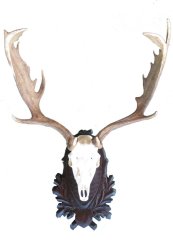 Podložka pod trofej č.228 - černá