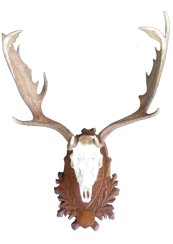 Podložka pod trofej č.228 - hnědá