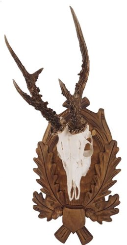 Podložka pod trofej č.119