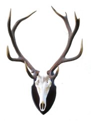 Podložka pod trofej č.343 - černá