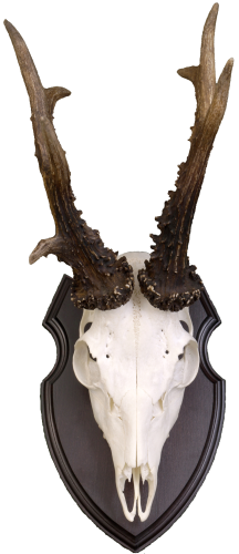 Podložka pod trofej č.305 - černá