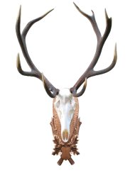 Podložka pod trofej č.208