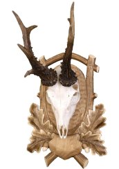 Podložka pod trofej č.132 - tónovaná