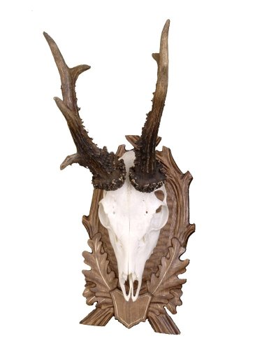 Podložka pod trofej č.127 - hnědá