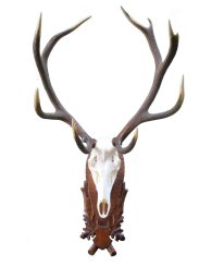 Podložka pod trofej č.208 - hnědá