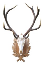 Podložka pod trofej č.224 - tónovaná