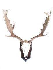 Podložka pod trofej č.348 - černá