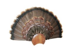 Podložka pod trofej č.155 - tónovaná