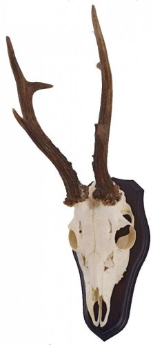 Podložka pod trofej č.327 - černá