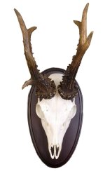 Podložka pod trofej č.307 - černá