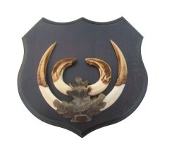 Podložka pod trofej č.363 - černá + bronzové litinové krytí