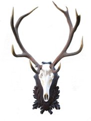 Podložka pod trofej č.205 - černá