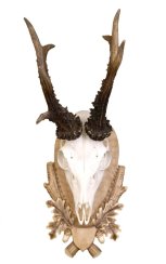 Podložka pod trofej č.110 - tónovaná