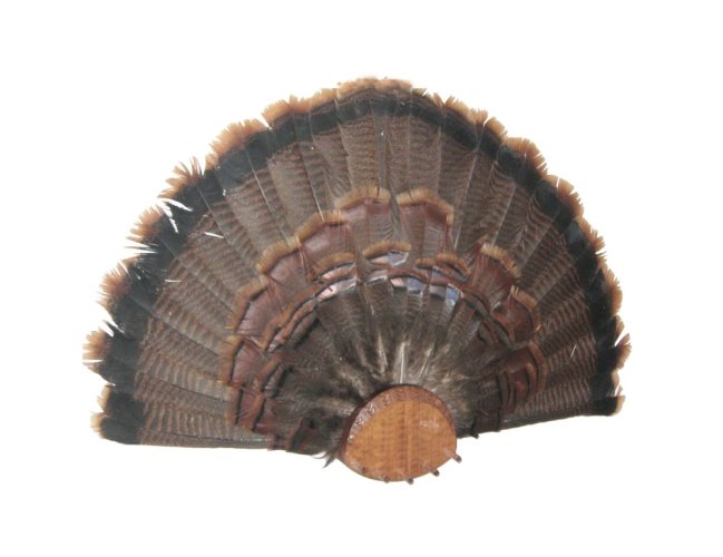 Podložka pod trofej č.152 - tónovaná