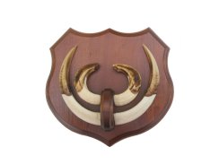 Podložka pod trofej č.362 - kaštan + dřevěný nos