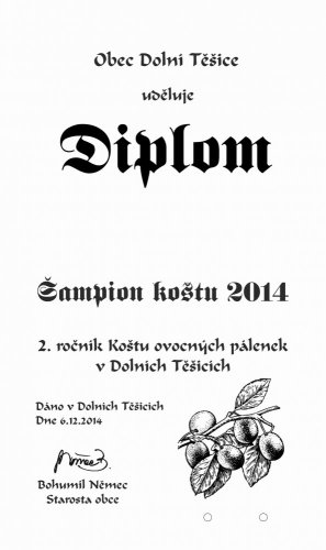 Diplom 774 košt slivovice na desce s kůrou 3D