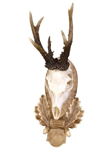 Podložka pod trofej č.141 - tónovaná