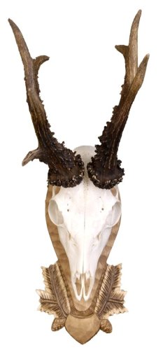 Podložka pod trofej č.108 - tónovaná