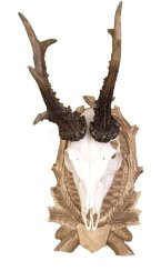 Podložka pod trofej č.125 - tónovaná