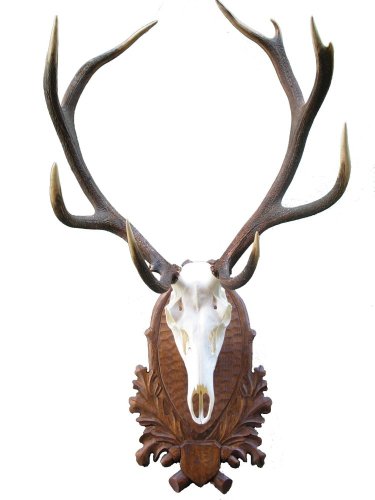 Podložka pod trofej č.210 - hnědá