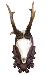 Podložka pod trofej č.133 - černá