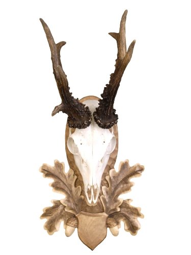 Podložka pod trofej č.103 - tónovaná