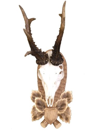 Podložka pod trofej č.106 - tónovaná lipová ratolest