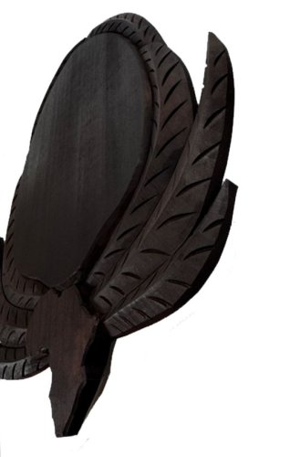 Podložka pod trofej č.484 Duiker