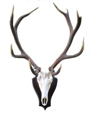 Podložka pod trofej č.342 - černá