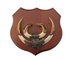 Podložka pod trofej č.363 - kaštan + bronzové litinové krytí