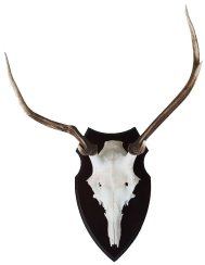 Podložka pod trofej č.344 zřezaný jelen - 344 černá