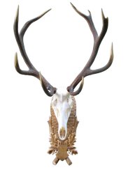 Podložka pod trofej č.208 - tónovaná