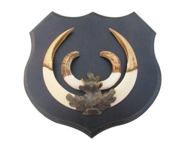 Podložka pod trofej č.364 - černá + bronzové litinové krytí