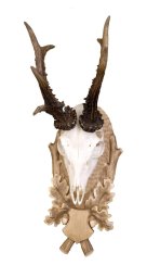 Podložka pod trofej č.126 - tónovaná